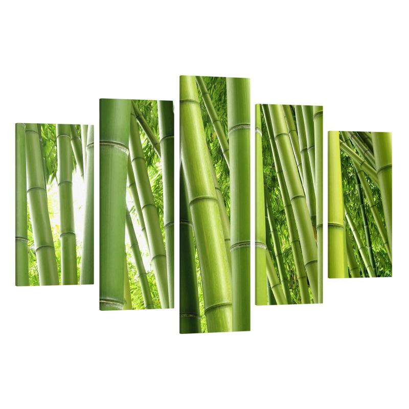 Päťdielny obraz Bambusové stromy