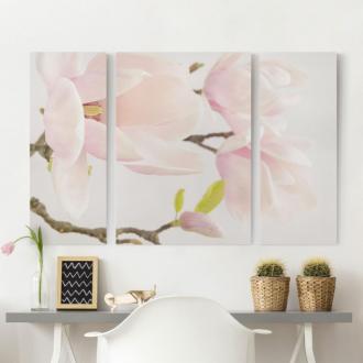 Trojdielny obraz Royal Magnolia