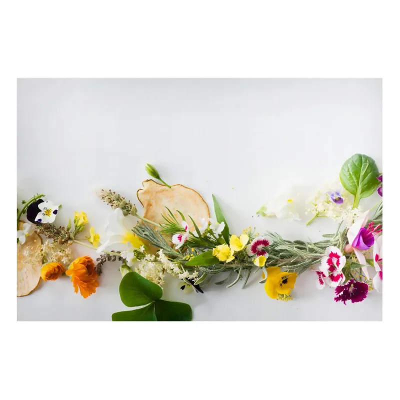 Magnetické obrazy Čerstvé bylinky s jedlými kvetmi