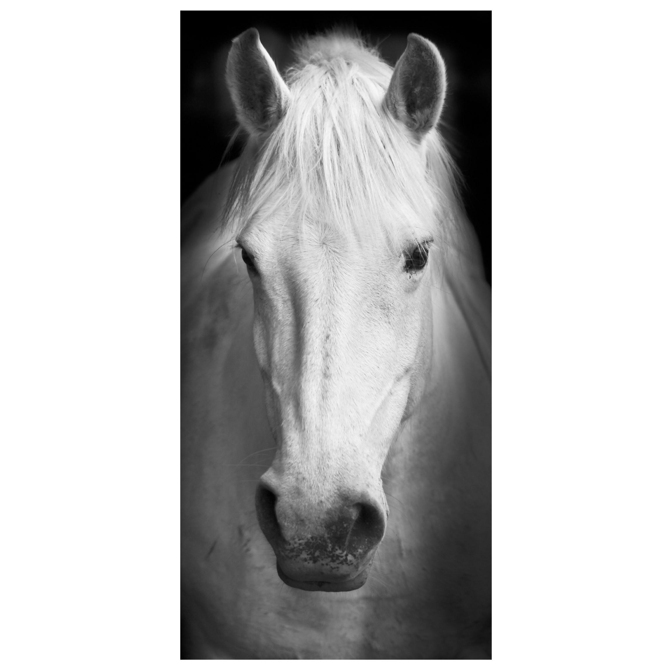 Moderný deliaci Paravan biely kôň