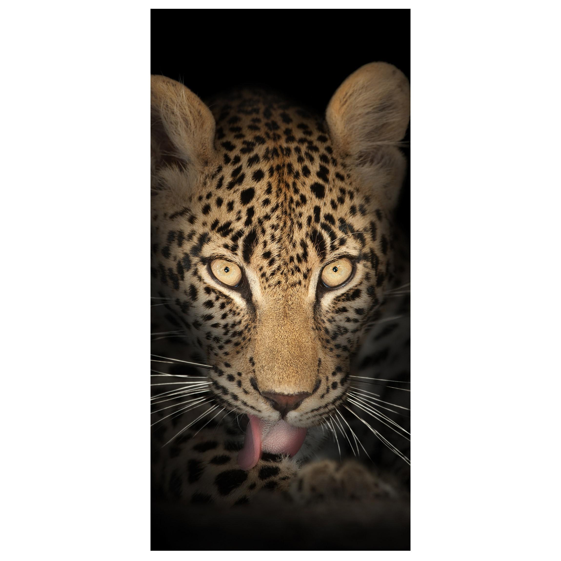 Moderný deliaci Paravan leopard
