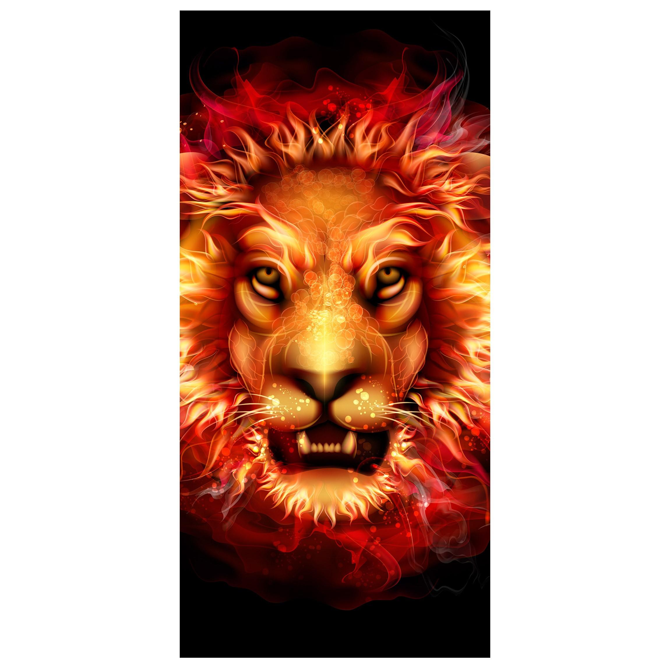 Moderný deliaci Paravan ohnivý lev
