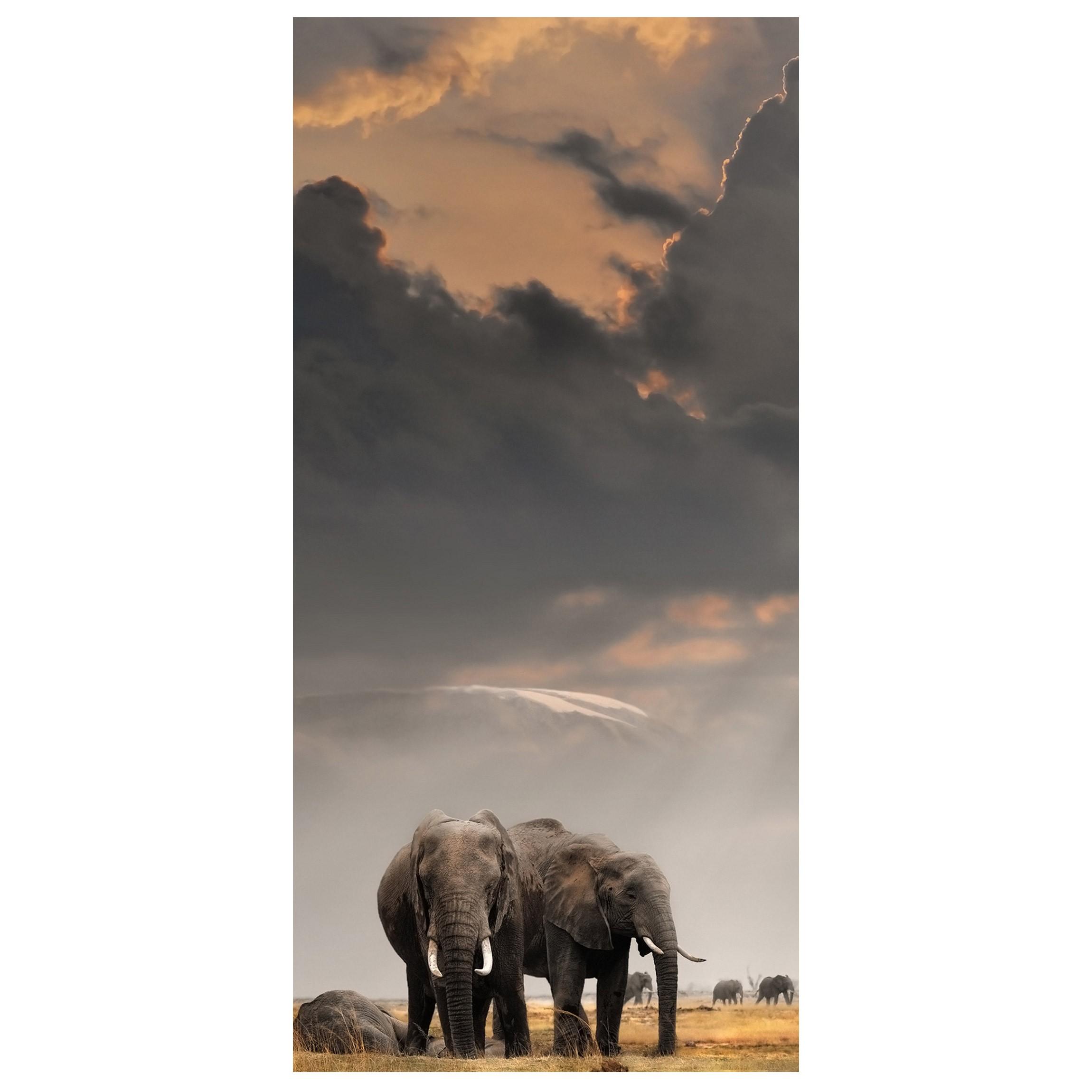 Moderný deliaci Paravan Africké slony