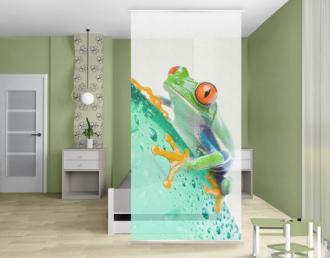 Moderný deliaci Paravan žaba