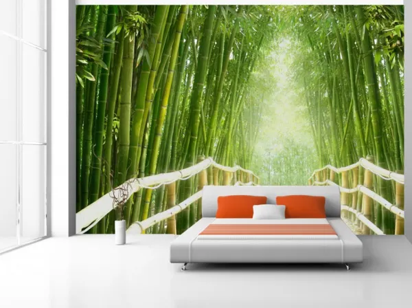 Tapeta Bamboo forest