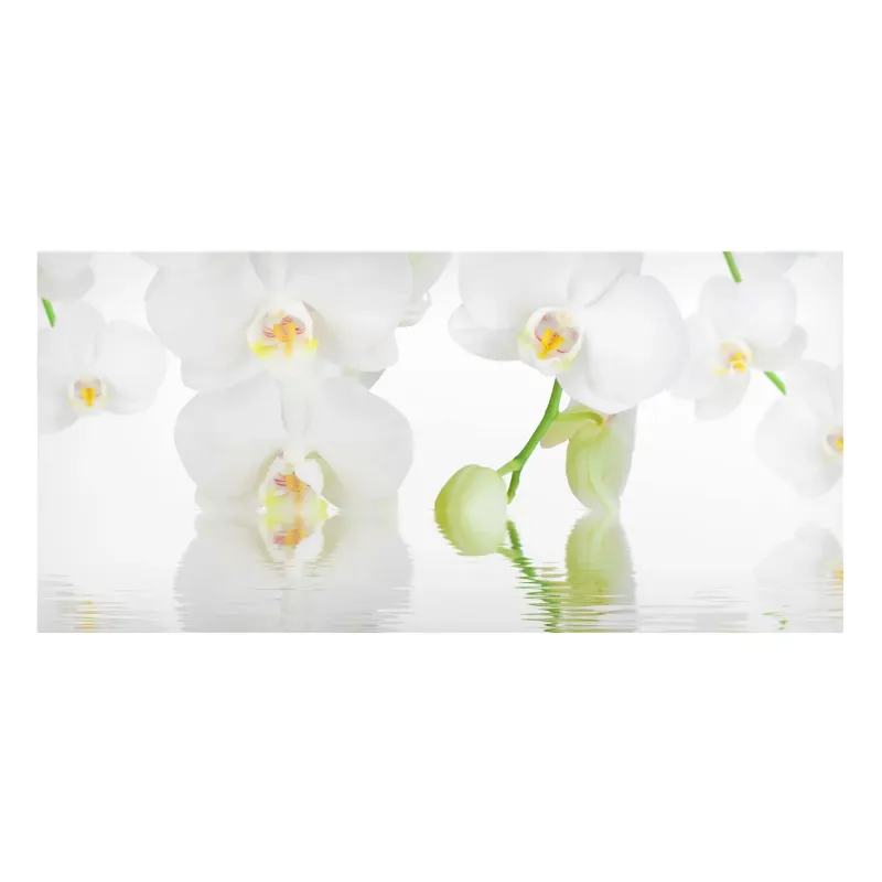 Magnetické obrazy Orchidea wellness orchidea