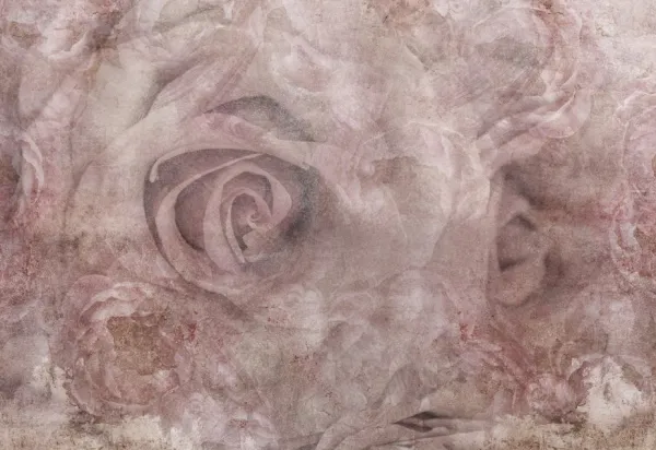 Tapeta Rose painting  samolepiaca