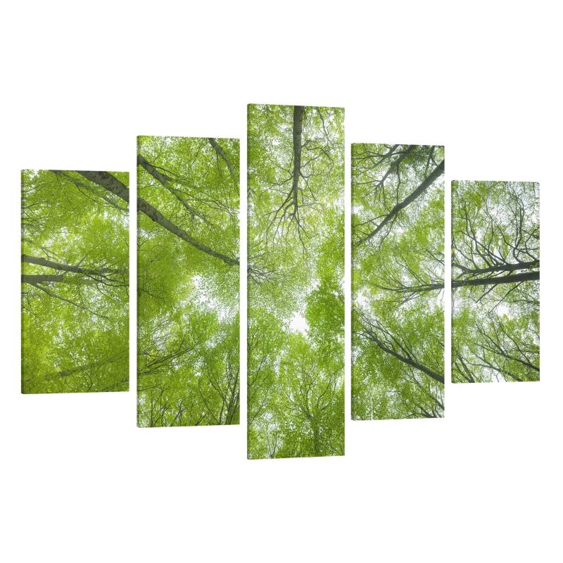 Päťdielny obraz Bukový les na Lindkogeli