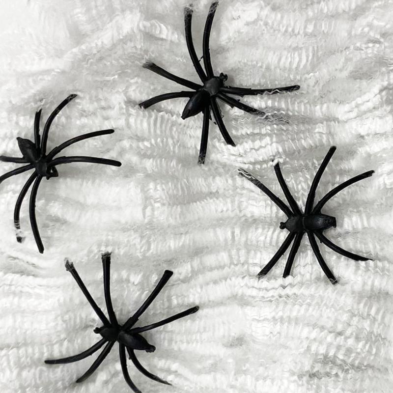 Pavúči sieť s pavúkmi