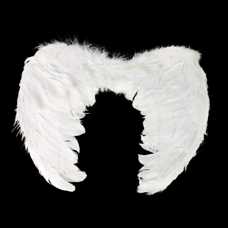 Anjelská krídla s perím
