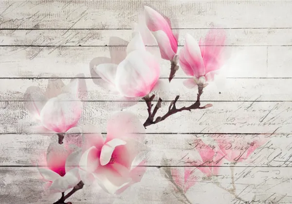 Tapeta magnolia on wood