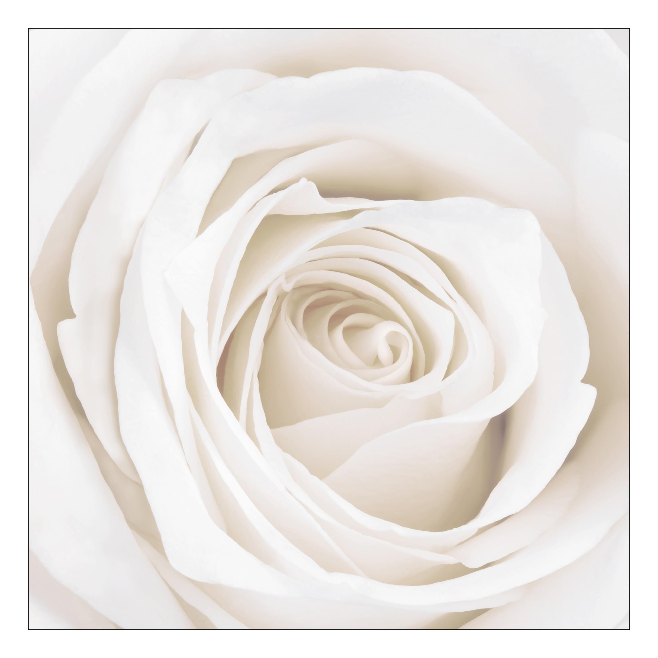 Designový stolček biela ruža