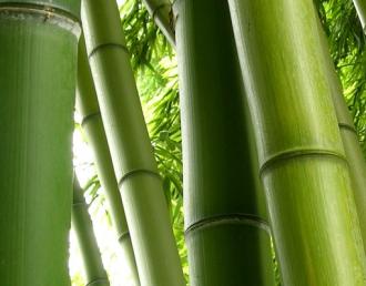 Moderný deliaci Paravan bambus