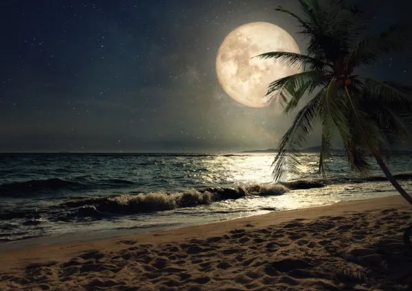 Tapeta Full moon on the beach