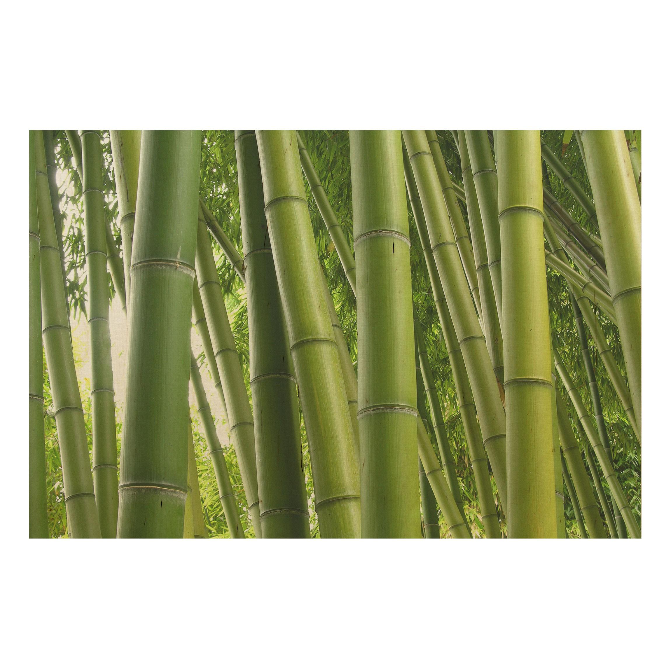Drevenné obrazy Bambus 2:3