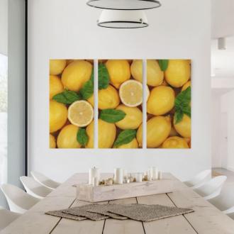 Trojdielny obraz Šťavnaté citróny 2:1
