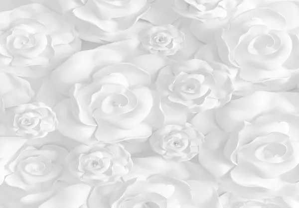 Tapeta White roses