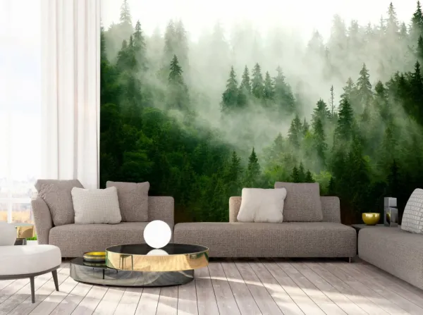 Tapeta Green forest in the fog