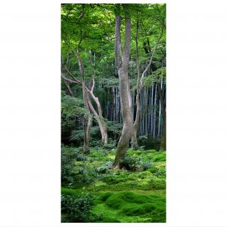 Moderný deliaci Japonský les