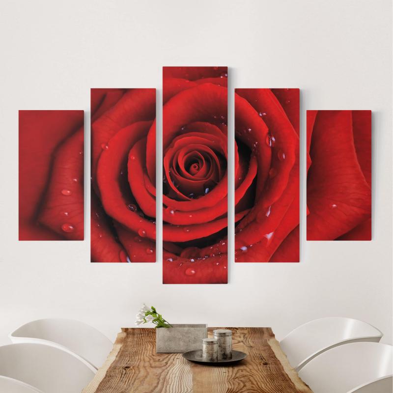 Päťdielny obraz Červená ruža s kvapkami vody