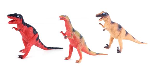 Dinosaurus 8 druhov, 21 - 29 cm