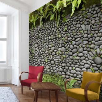 Fototapeta Kamenná stena s rastlinami