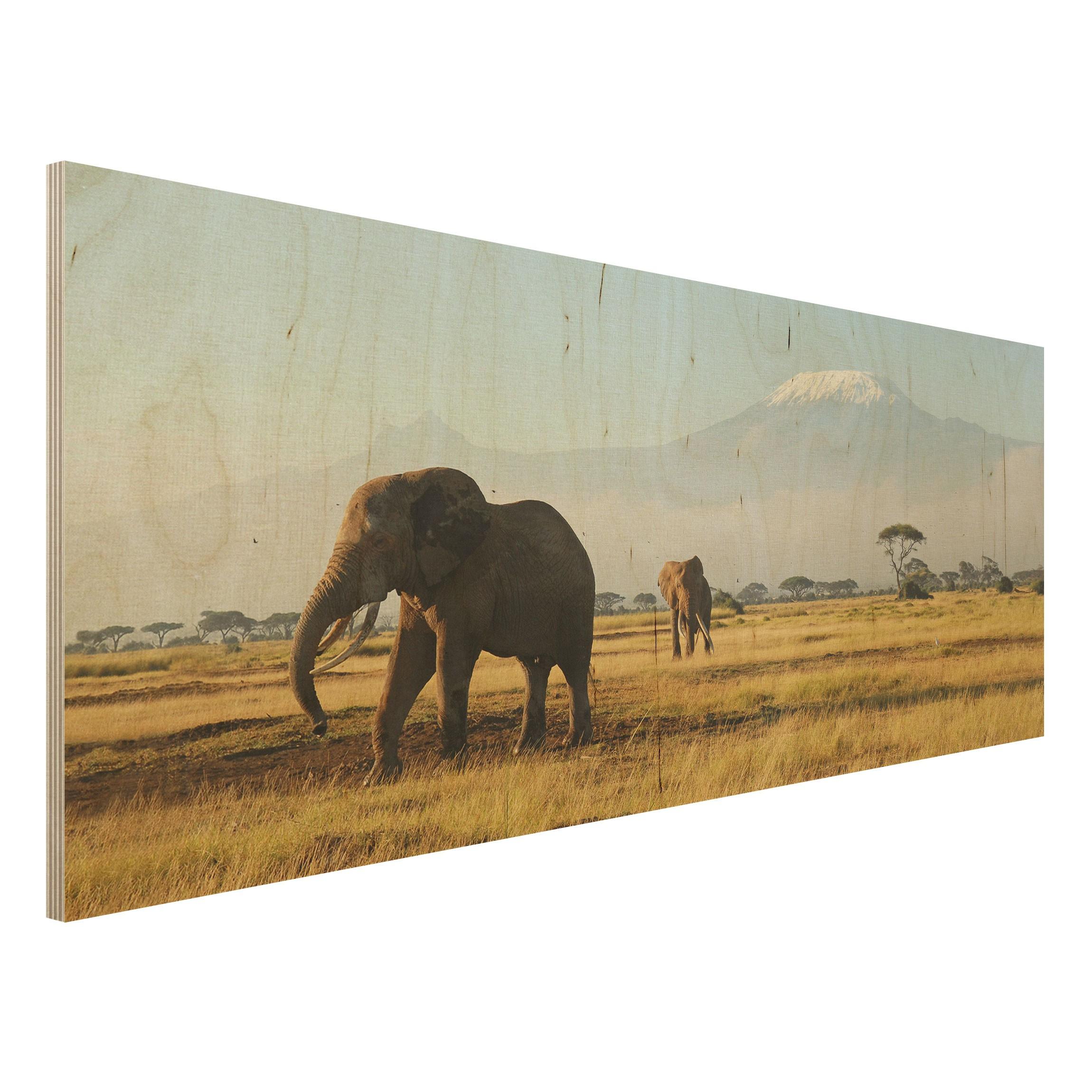 Drevenné obrazy Slony z Kene