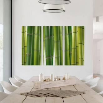 Trojdielny obraz Bambusové rastliny 2:1