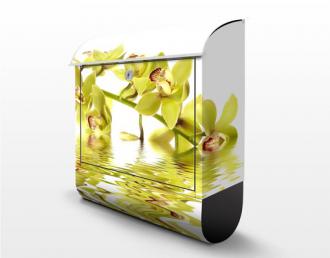 Poštová schránka Elegant Orchid Waters