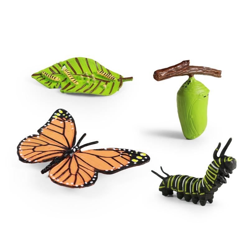 Motýľ a jeho rastový vývoj