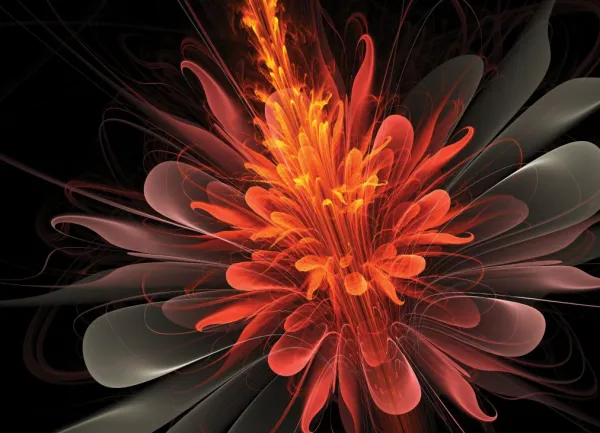 Tapeta fiery flower