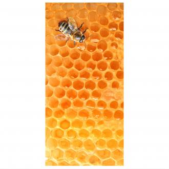 Moderný deliaci Včela medonosná
