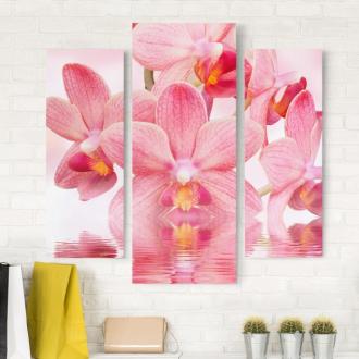 Trojdielny obraz Ružové orchidey na vode