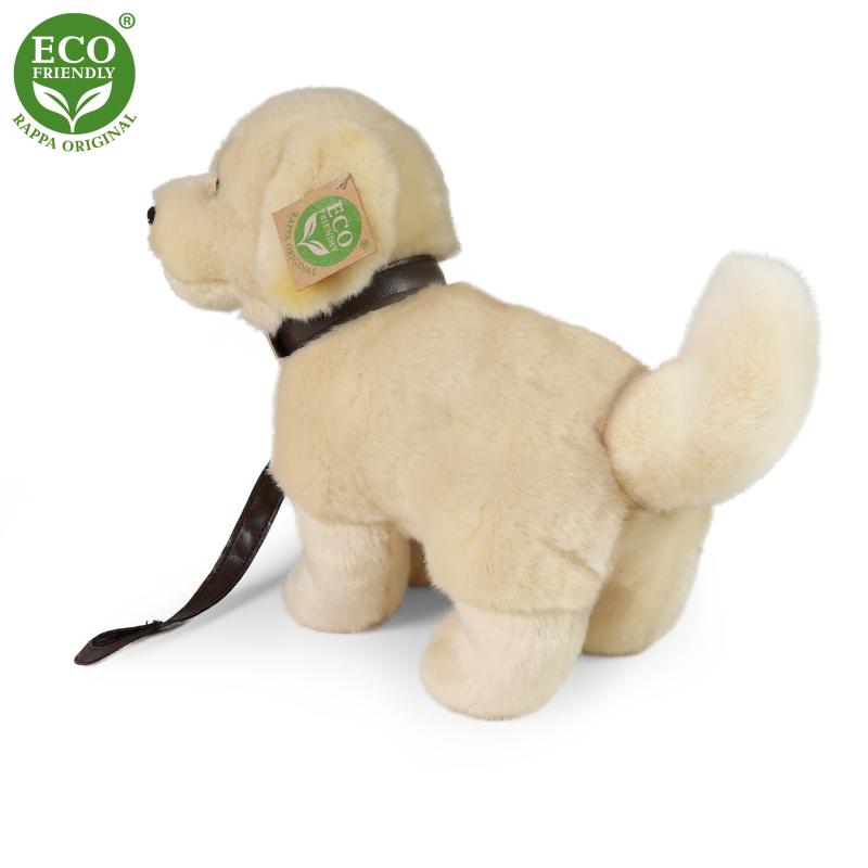 Plyšový pes zlatý retriever stojaci s vodítkom 25 cm ECO-FRIENDLY