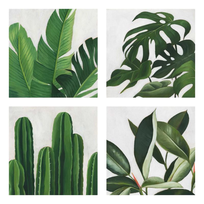 Štvordielny obraz Obľúbené rastliny Tropical Set I