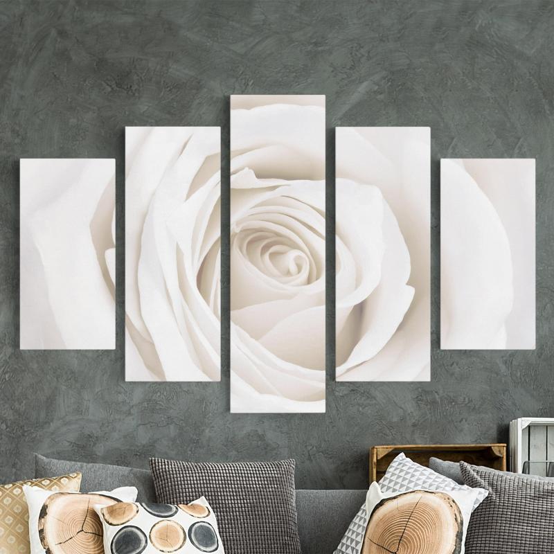 Päťdielny obraz Pekná biela ruža
