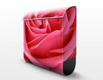 Poštová schránka Žiarivo ružová ruža
