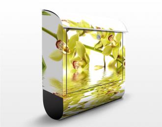 Poštová schránka Elegant Orchid Waters