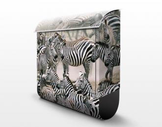 Poštová schránka Zebry