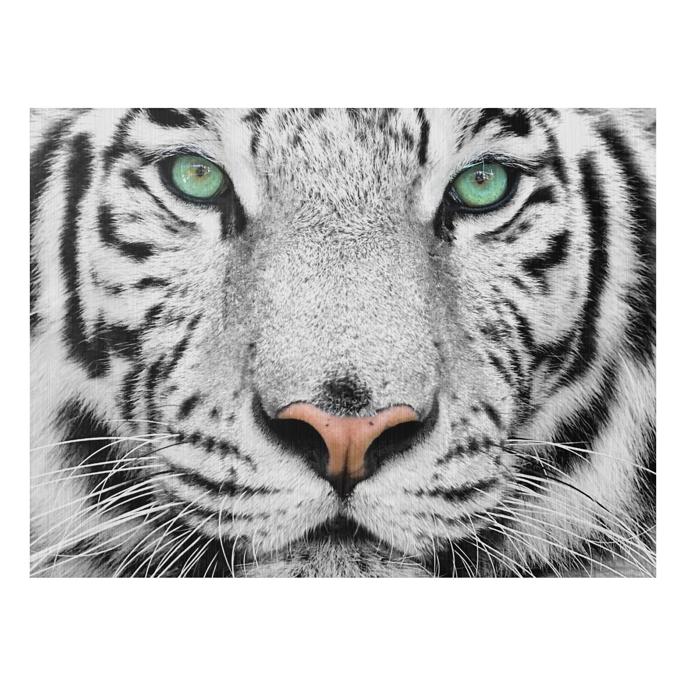 Obraz na hliníkovej doske Tiger