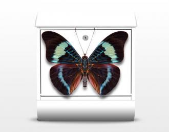 Poštová schránka Motýl