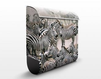 Poštová schránka Zebry