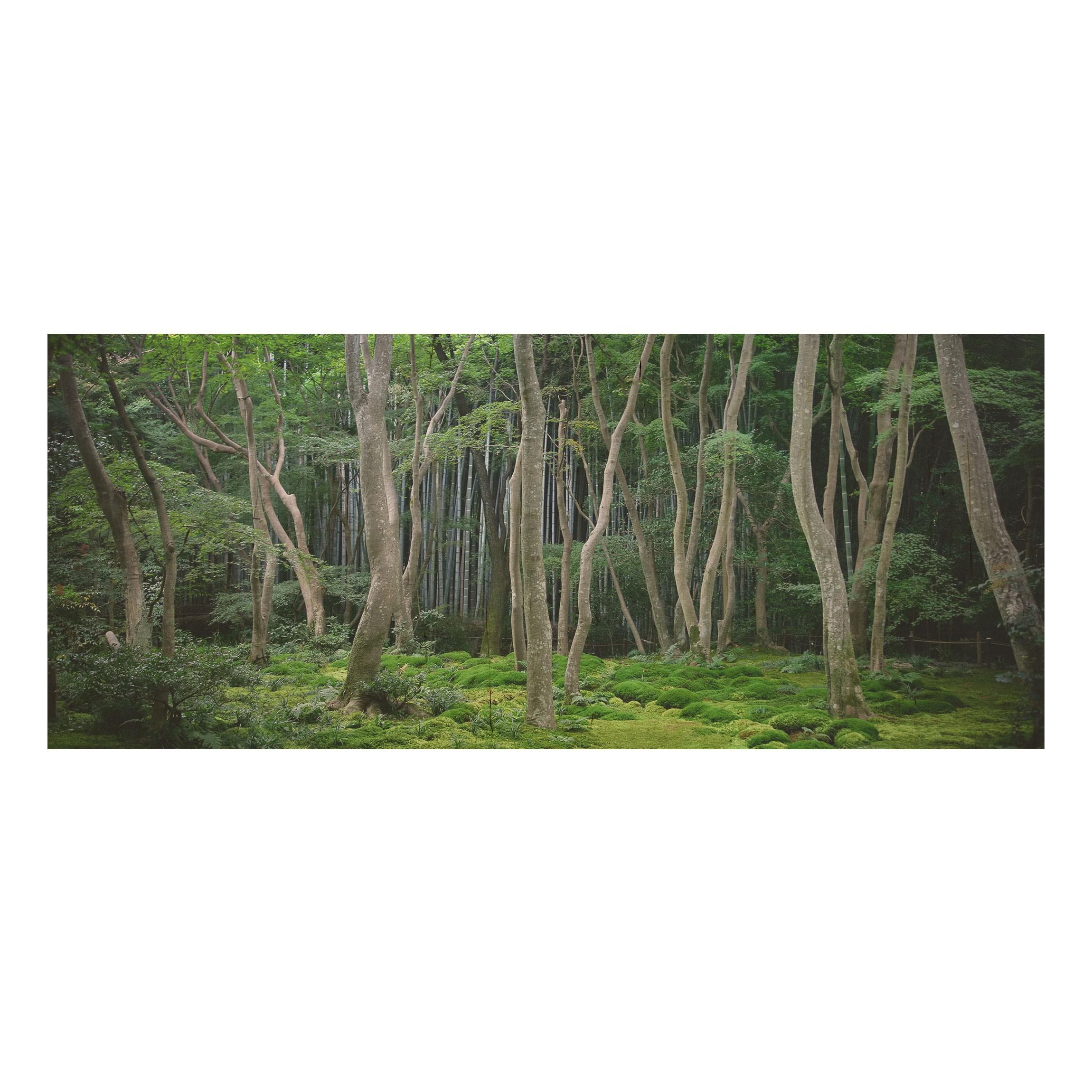 Drevenné obrazy Japonský les