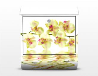 Poštová schránka Dreamy Orchid Waters