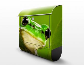 Poštová schránka Žaba zelená