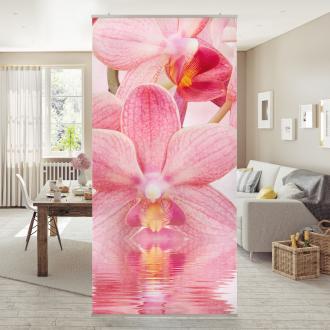 Moderný deliaci Ružové orchideje na vode