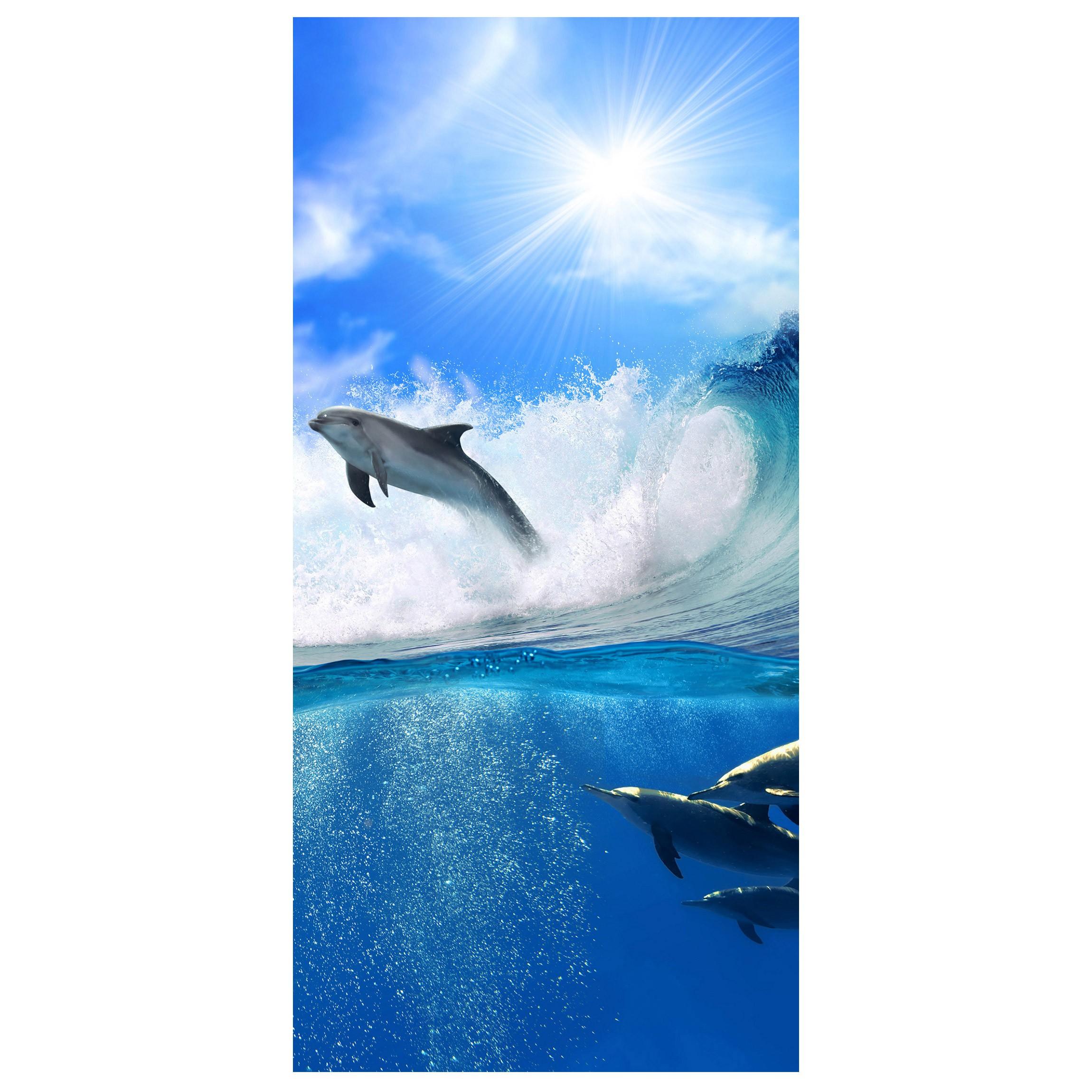 Moderný deliaci Paravan delfín