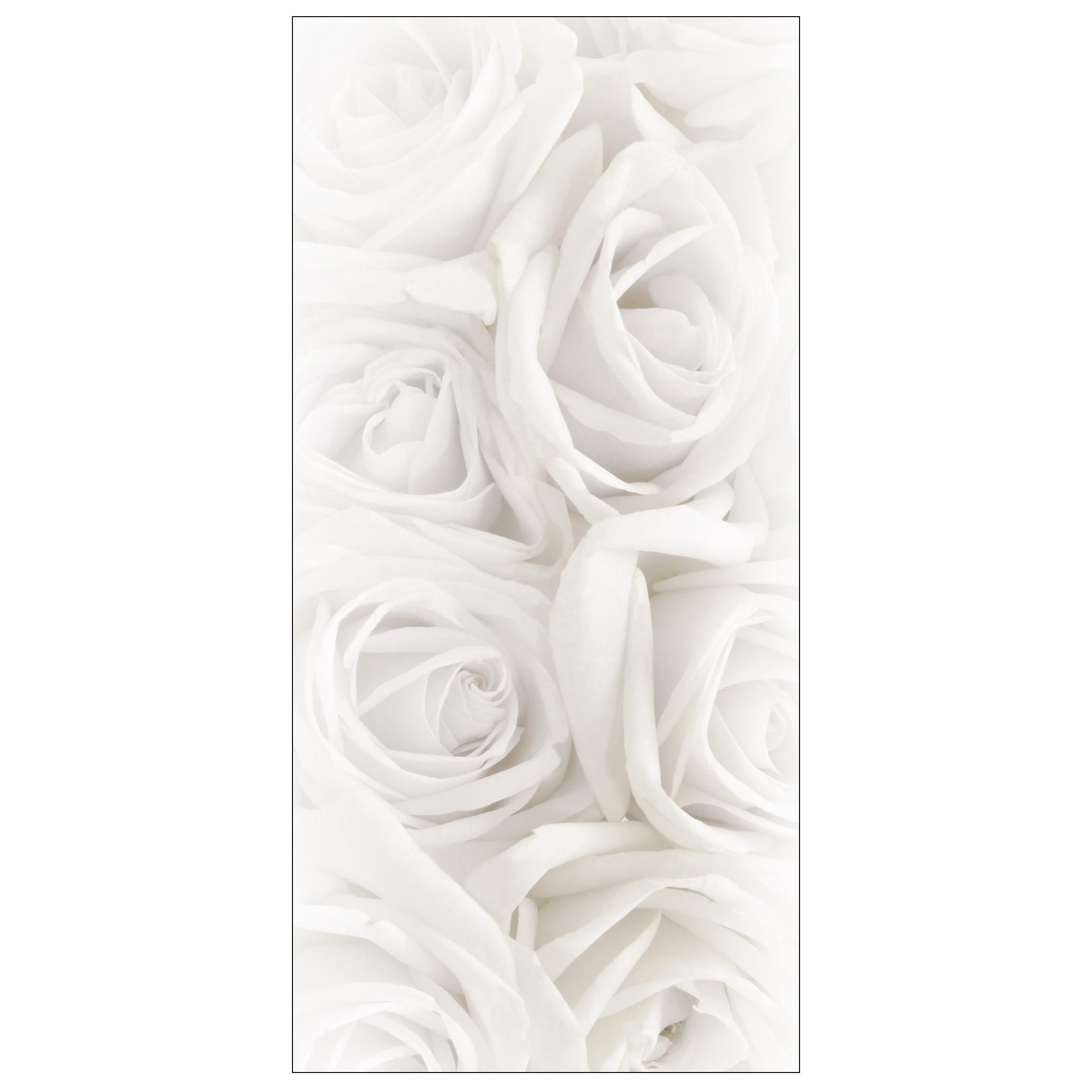 Moderný deliaci biele ruže