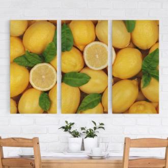 Trojdielny obraz Šťavnaté citróny 2:1