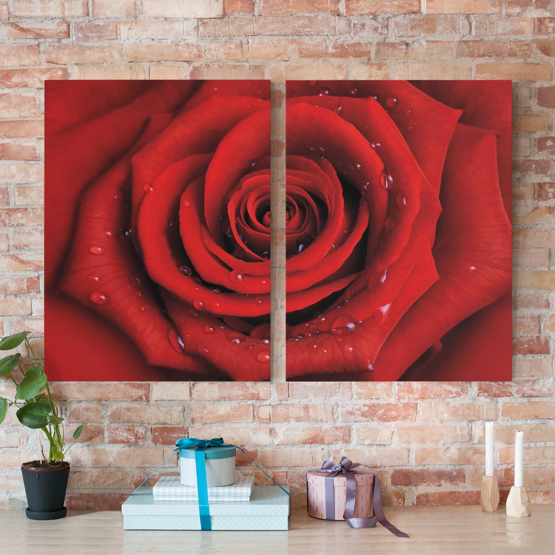 Dvojdielny obraz Červená ruža s kvapkami vody 4:3